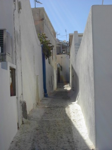 Photo by Jan Morrill