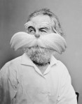 Walt Whitman as the Lorax&nbsp;3