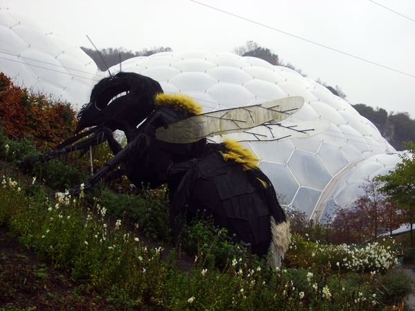 Big Bee - by Jennifer Pendergast